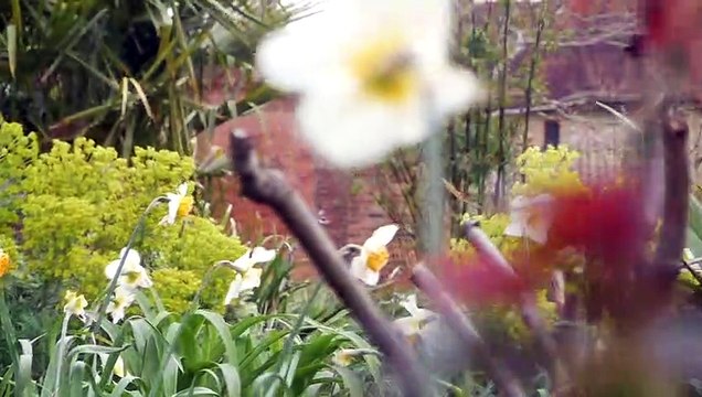 Watch: What makes Bishops Palace Park such a beautiful part of Chichester