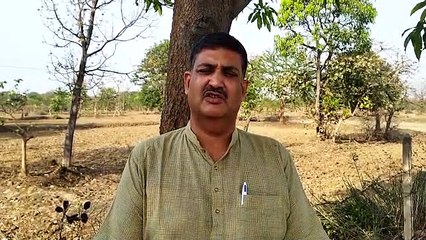 कांग्रेस की लगाई आग से पूरा छत्तीसगढ़ जल रहा :  भाजपा