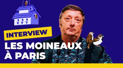 Comment favoriser le moineau domestique ?| Paris vous répond | Ville de Paris