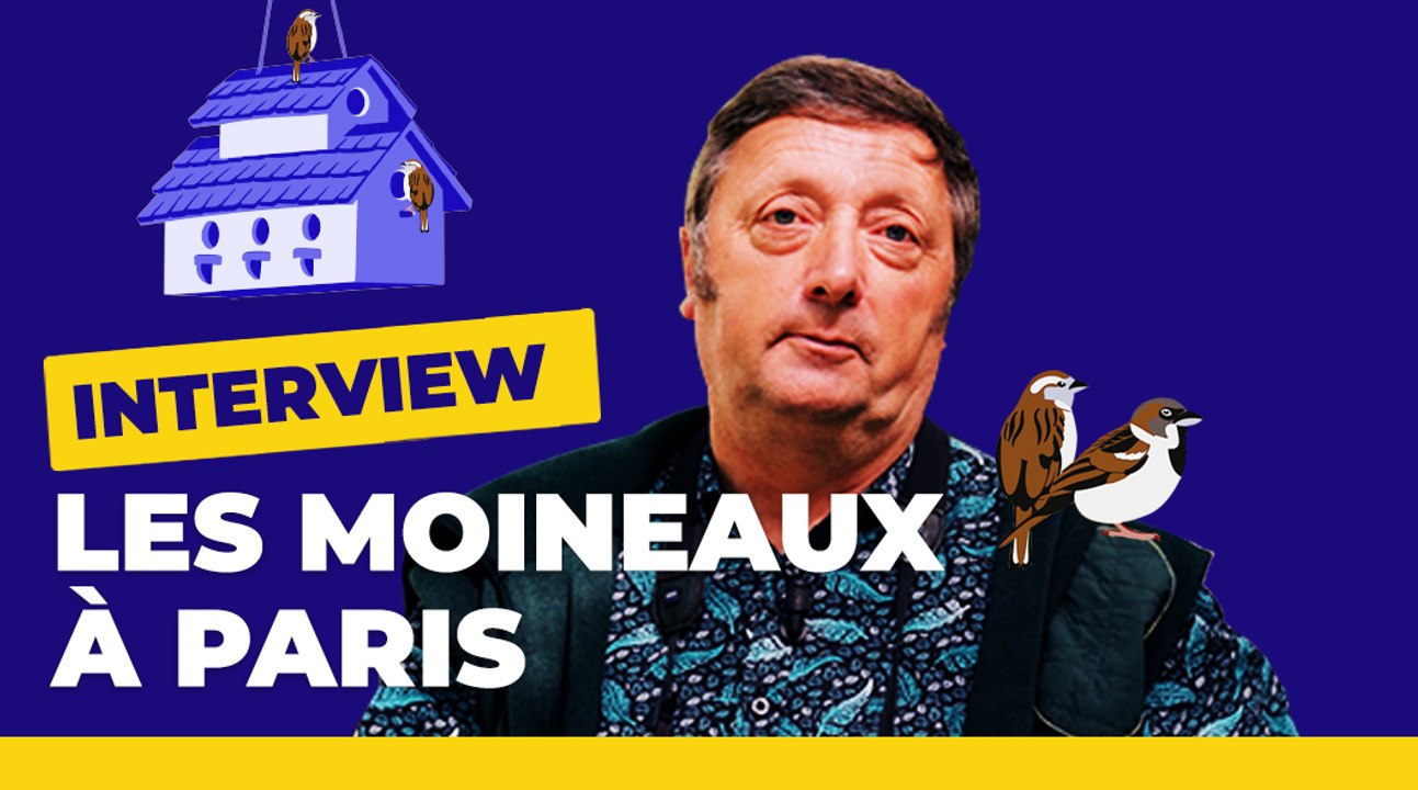 Comment favoriser le moineau domestique ?| Paris vous répond | Ville de Paris