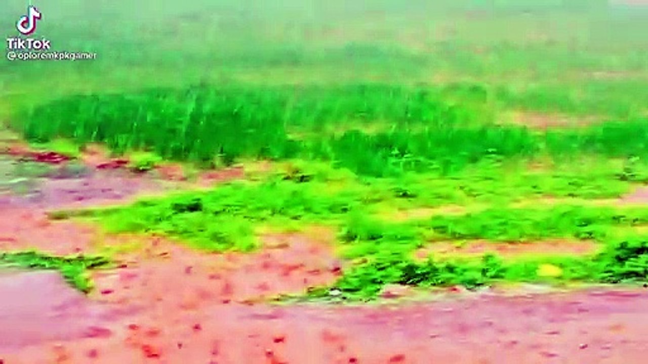 Rain,️️️