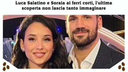 Download Video: Luca Salatino e Soraia ai ferri corti, l'ultima scoperta non lascia tanto immaginare