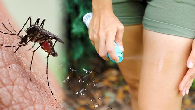 मच्छर भगाने वाला तेल लगाने से क्या होता है | Machhar Bhagane Wala Tel Lagane Ke Nuksan | Boldsky