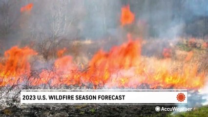 AccuWeather's 2023 U.S. wildfire season forecast