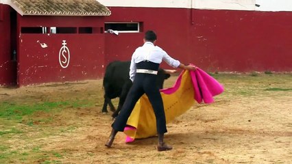 ALFONSO ALONSO LIDIANDO TORO CON 7 AÑOS
