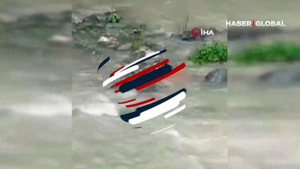 Nesli tükenme tehlikesi altında! Ordu'da görüntülendi