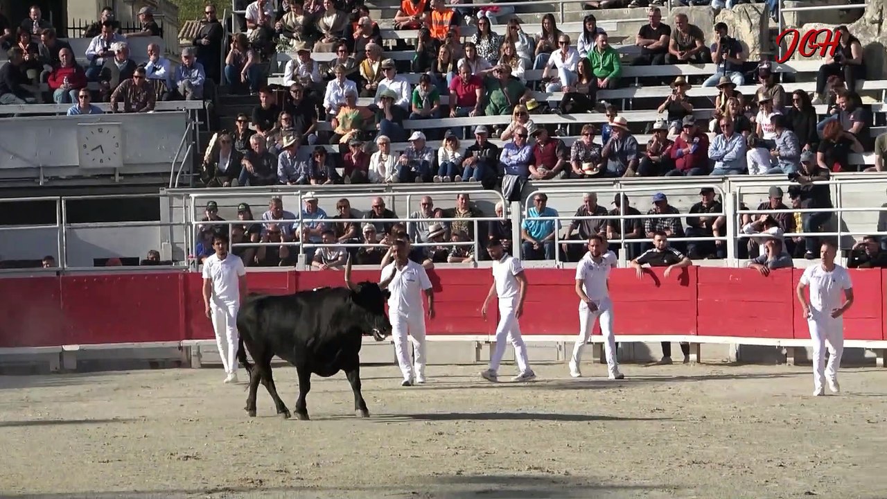 Octave N° 408 - manade CUILLE- Mandarin N°253- manade De MEJANES