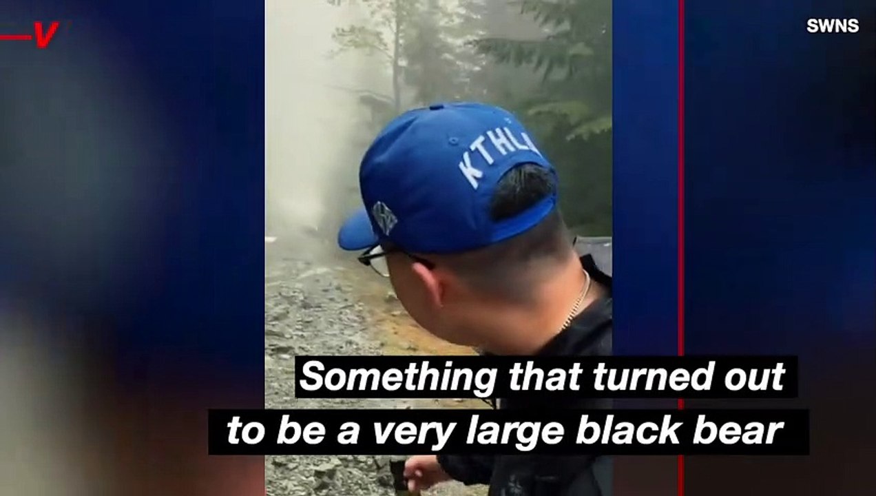 Must See! Large Bear Stalks a Group of Hikers for Nearly a Mile