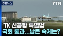 'TK 신공항 특별법' 국회 통과...하늘길 열리기까지 남은 숙제는? / YTN