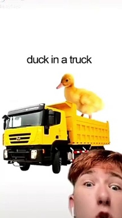 memes i found on tiktok pt.9