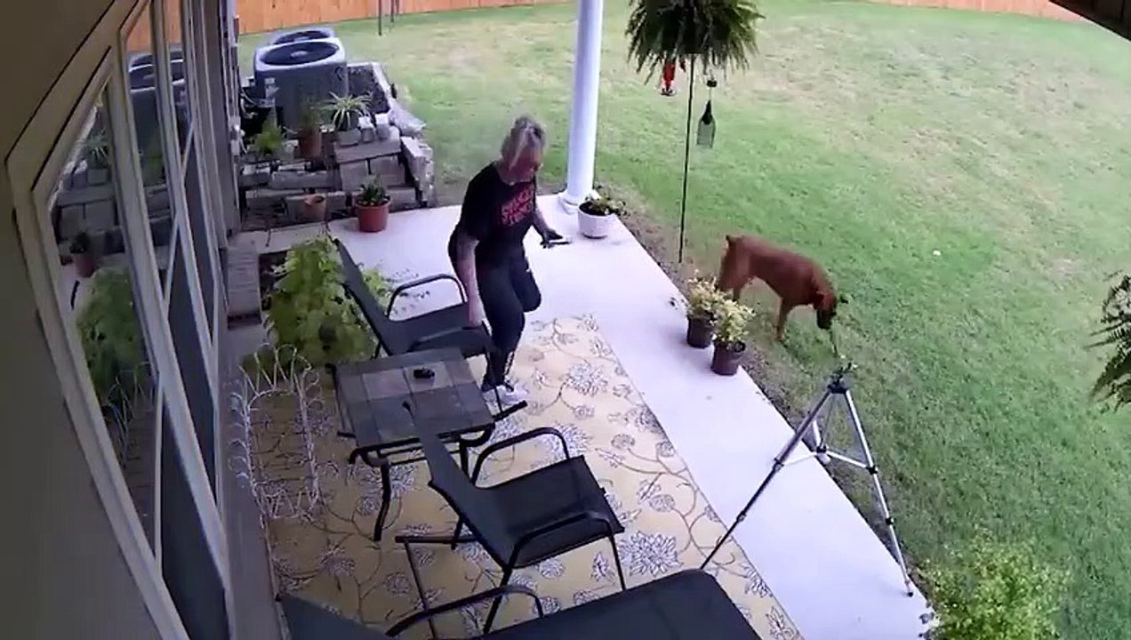 40 MOMENTS QUE VOUS NE REGRETTEREZ PAS ! NOUVEAU