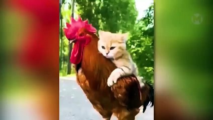 200 MOMENTS YOU WON'T REGRET WATCHING   BEST OF THE YEAR