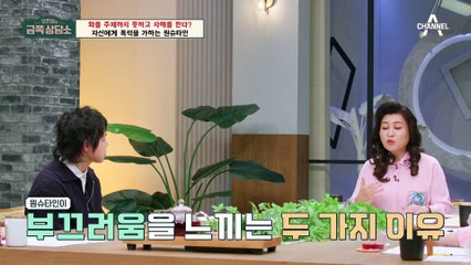 [#금쪽상담소] 화가 치솟을 때마다 자해하는 원슈타인과 이를 듣고 안타까워하는 오 박사! #원슈타인 #msg워너비