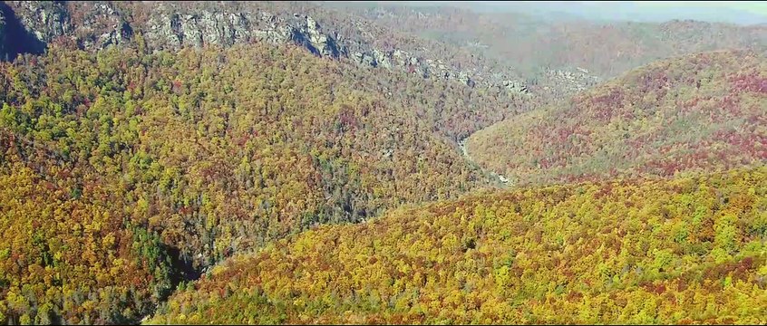 DES HOMMES SANS LOI Bande-Annonce VF