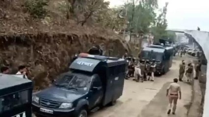 बुरहानपुर: अतिक्रमणकारियों के खिलाफ प्रशासन की कार्रवाई,दो करोड़ की लकड़ी जप्त