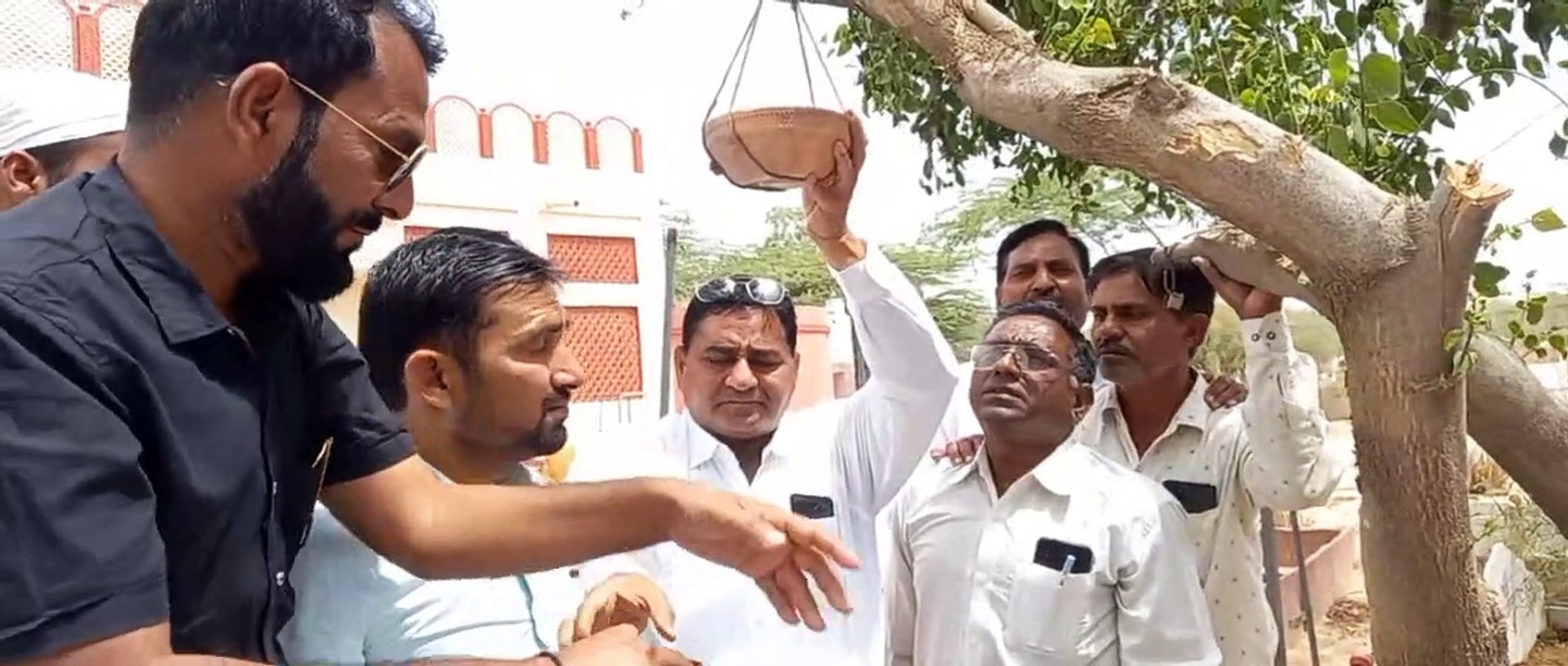 खुद रहे भूखे-प्यासे, पक्षियों के लिए की दाना-पानी की सेवा