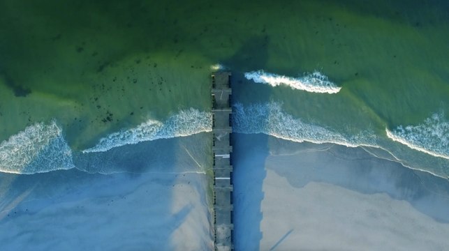 How to Plan the Perfect Trip to Florida's Anna Maria Island — Where You're Basically Guaranteed to See Dolphins