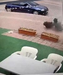 Gençlerin kuş aşkı faciayla sonuçlandı! Dehşet anları saniye saniye kamerada