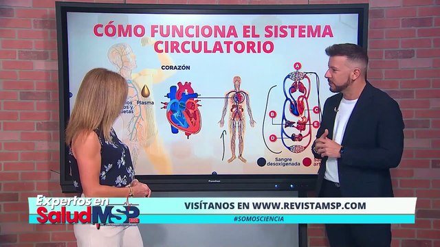 Causas de la trombosis venosa profunda y su diferencia con las venas várices #ExclusivoMSP