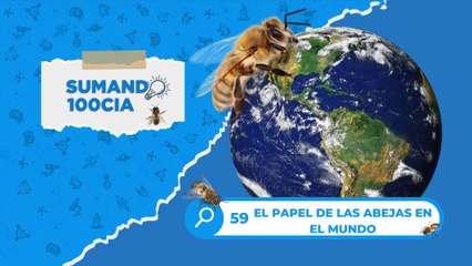 59 EL PAPEL DE LAS ABEJAS EN EL MUNDO