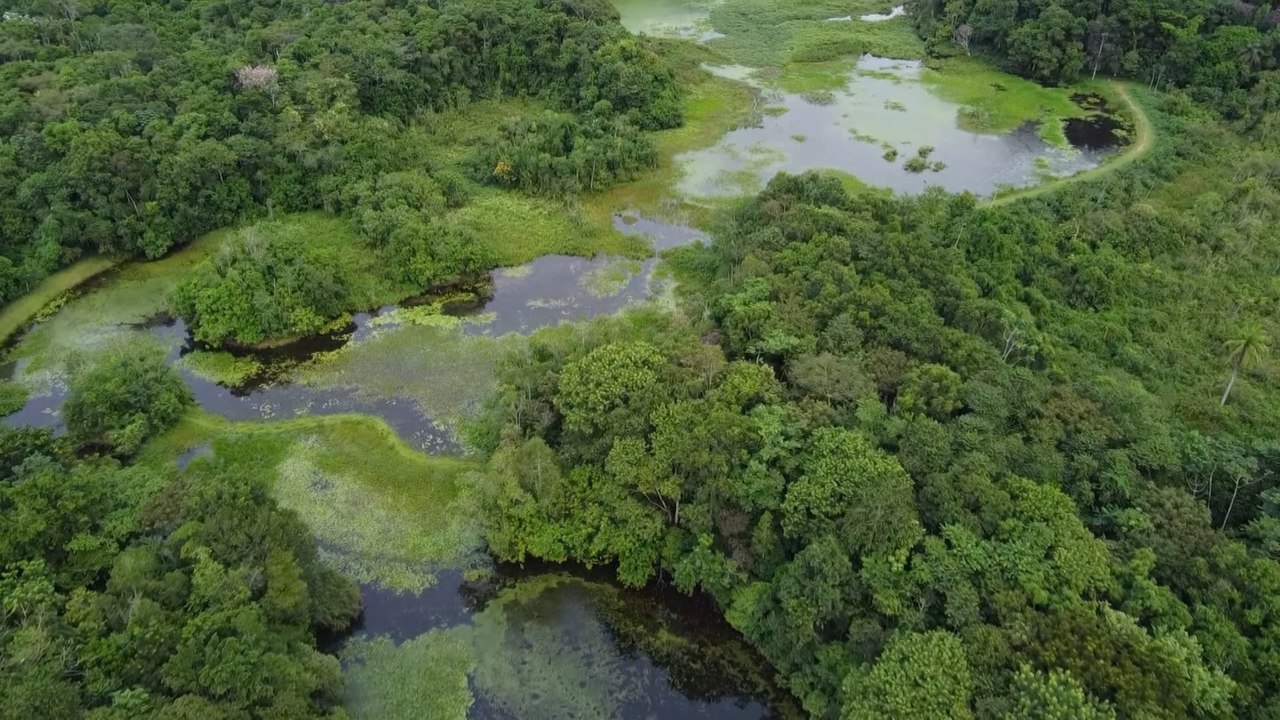 El turismo ecológico busca atraer más visitantes en la bahía de Río de Janeiro