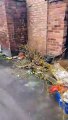 Shock video shows extent of flytipping and rubbish dumping in Doncaster street