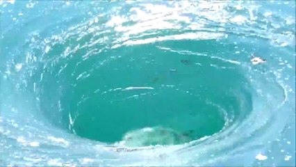 Never Seen This Before 