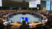 European Parliament meets with Ukraine to discuss steps for EU membership