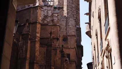 Mare acqua onde grafica Pietro Mollica Tindaro