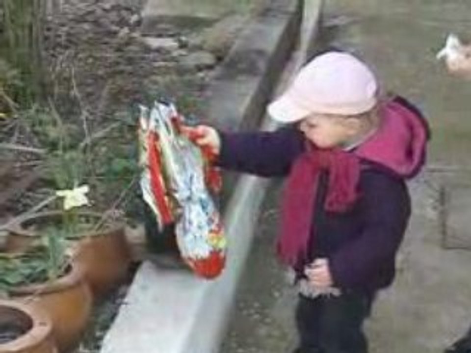 la recherche des oeufs de paques