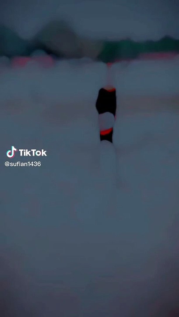 ⁣TIKTOK LIFESTYLE