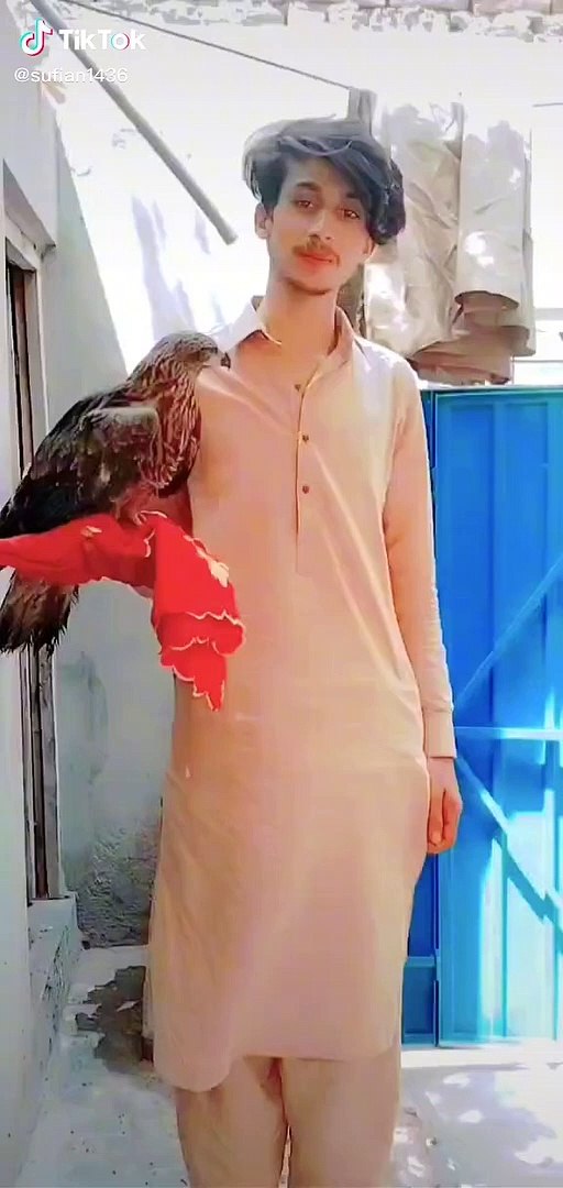 TIKTOK LIFESTYLE