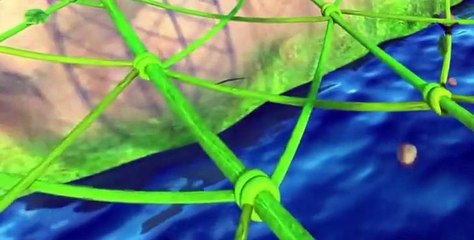 Kungfood Kungfood S01 E019 Mysterious Island