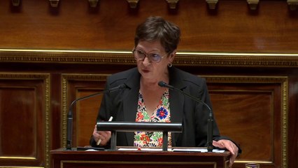 Résolution soutien aux forces de l'ordre: "Sommes nous une menace ?" demande Eliane Assassi