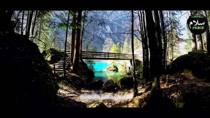 Heart Touching Naat 2022 - Allah Hu Allah