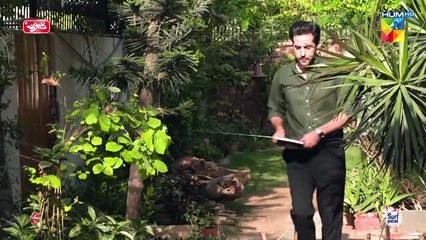 Chai Ke Ilawa Kisi Aur Ko Bhi Dekh Liya Karein...! #ayezakhan #danishtaimoor - Chand Tara - FLO Digital