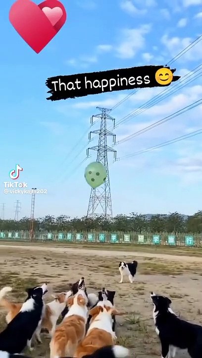 That's happiness