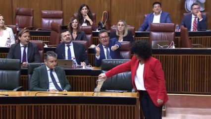 Bronca a una diputada por tirar arena al escaño de Juanma Moreno "Si quiere llamar la atención cómprese un mono"