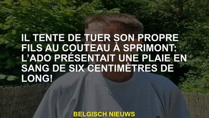Il tente de tuer son propre fils au couteau à Sprimont: l’ado présentait une plaie en sang de six ce