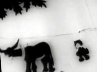 Felix the Cat Felix the Cat Short All Puzzled