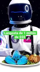 Langosta del millón de DÓLARES