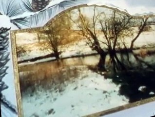 The Wind in the Willows The Wind in the Willows E052 – Happy New Year