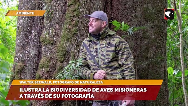 Ilustra la biodiversidad de aves misioneras a través de su fotografía