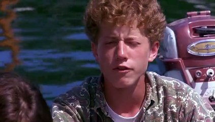 Der Mann ohne Gesicht (1993)