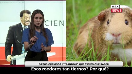 DATOS CURIOSOS Y "RANDOM" QUE TIENES QUE SABER