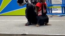 猿の躾【賛否両論】