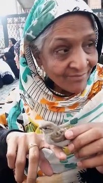 &%%$$ @#$%% %&$%& #@$%&& #viral #1245