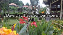 5 days wonderfull day trips activities in Bali