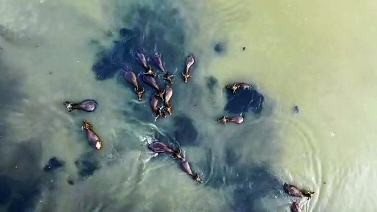 Drone view 3840x2160-30fps