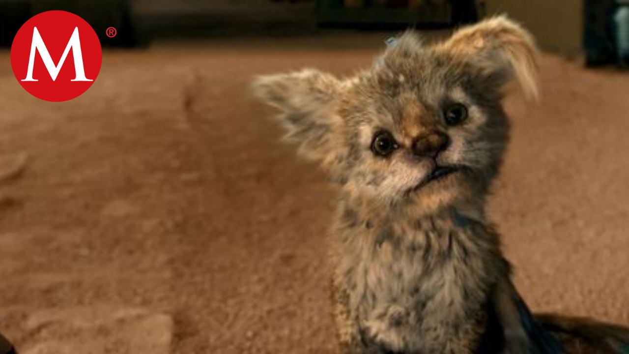 Llega el gran estreno de ‘Chupa’ a la plataforma de Netflix | M2